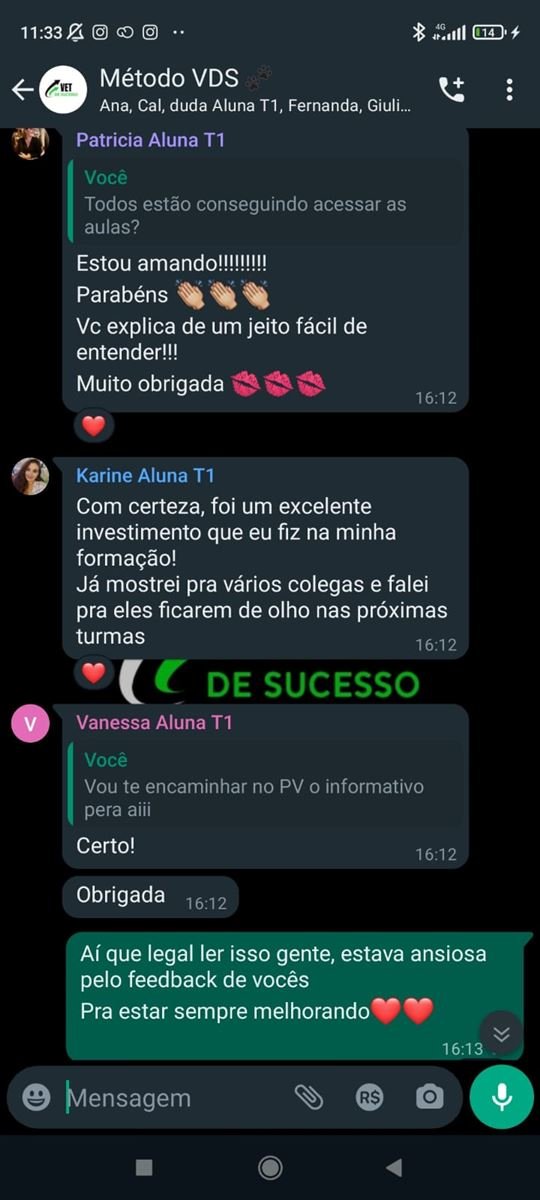 Print do grupo com mensagem da aluna Karine dizendo que o curso foi um excelente investimento