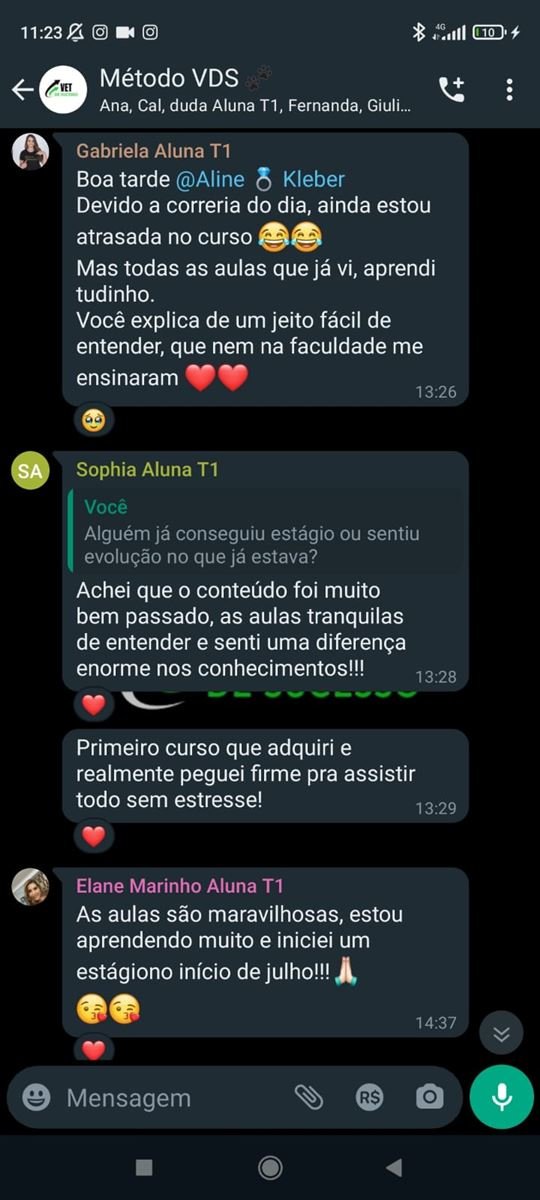 Print do grupo com mensagens das alunas Gabriela, Sophia e Elane sobre as aulas e o início do estágio