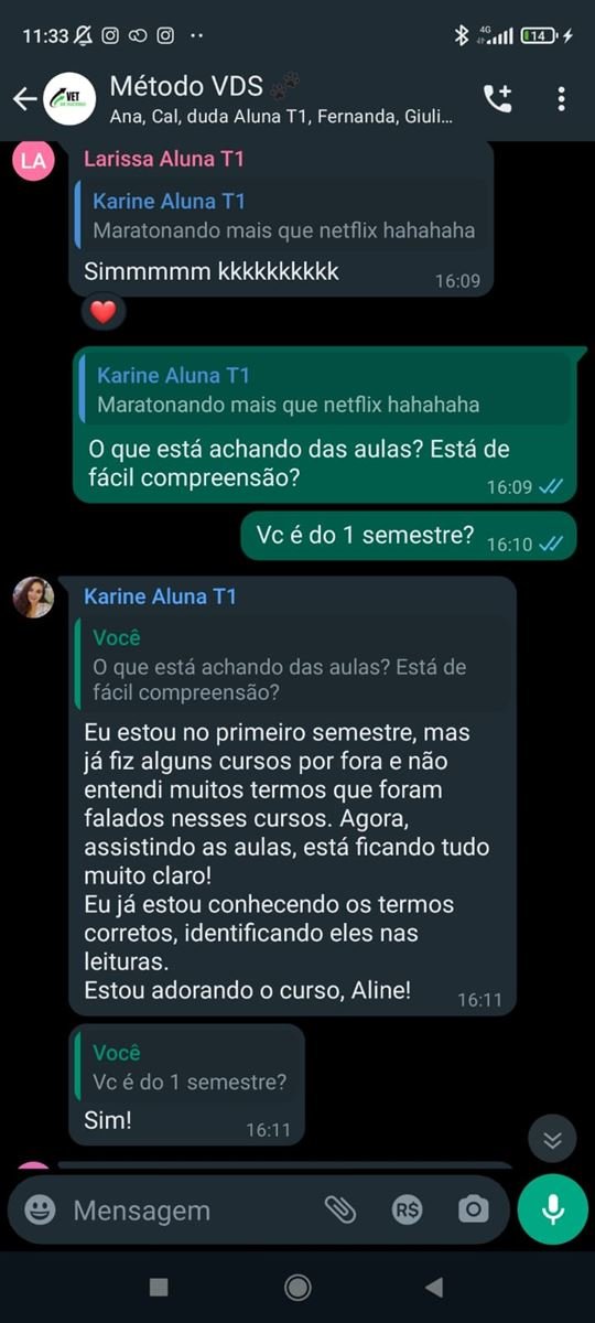 Print do grupo com mensagem da aluna Karine, do 1º semestre, dizendo que as aulas são fáceis de entender